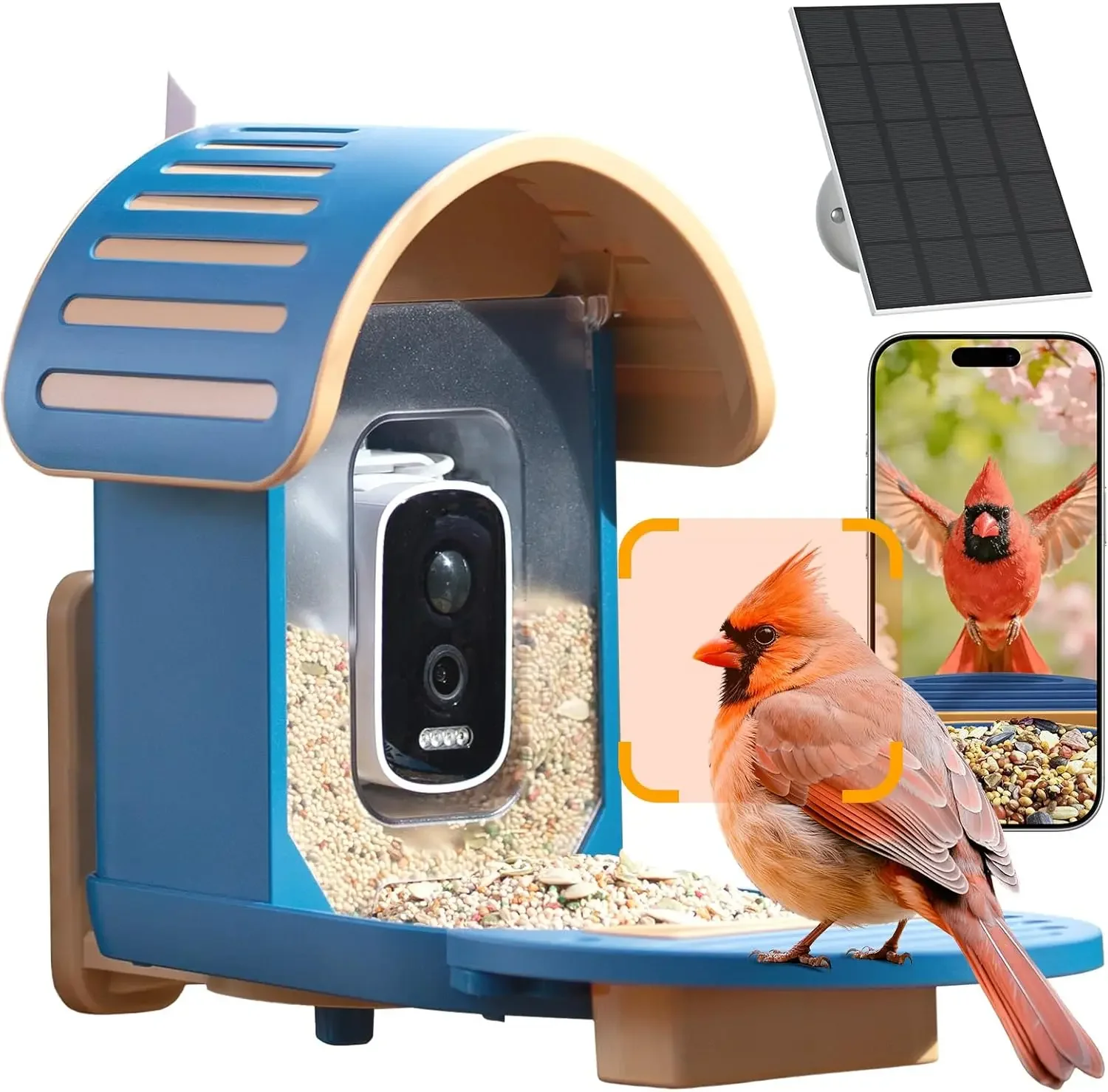 Smart Bird Feeder Camera - Smart Bird Feeder Camera Solar Powered