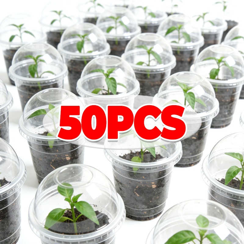 Smart Garden Plastic Cups - Wholesale Clear Nursery Cup with Cover