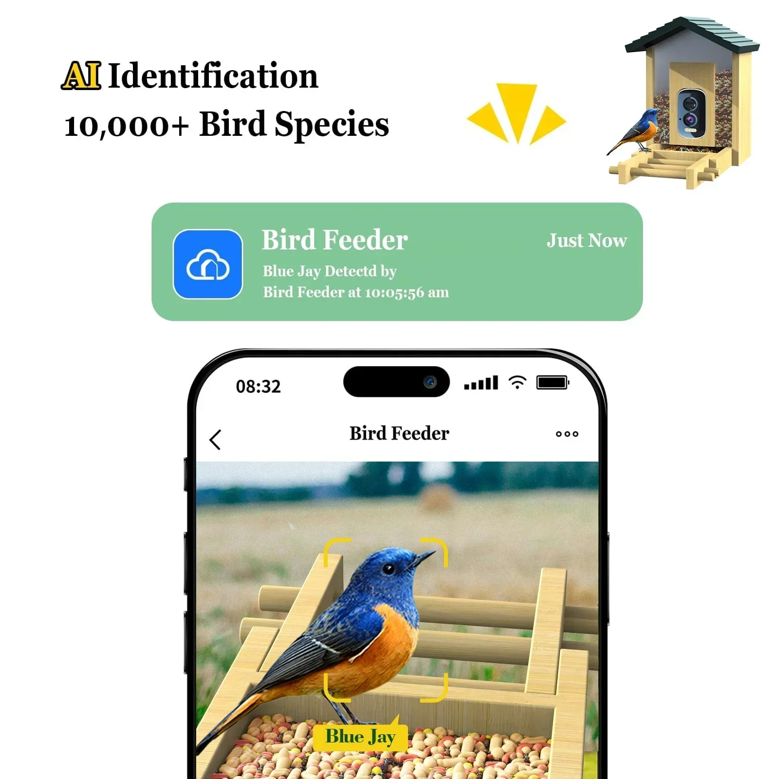 Smart Bird Feeder Camera - In stock Bamboo with Solar Power