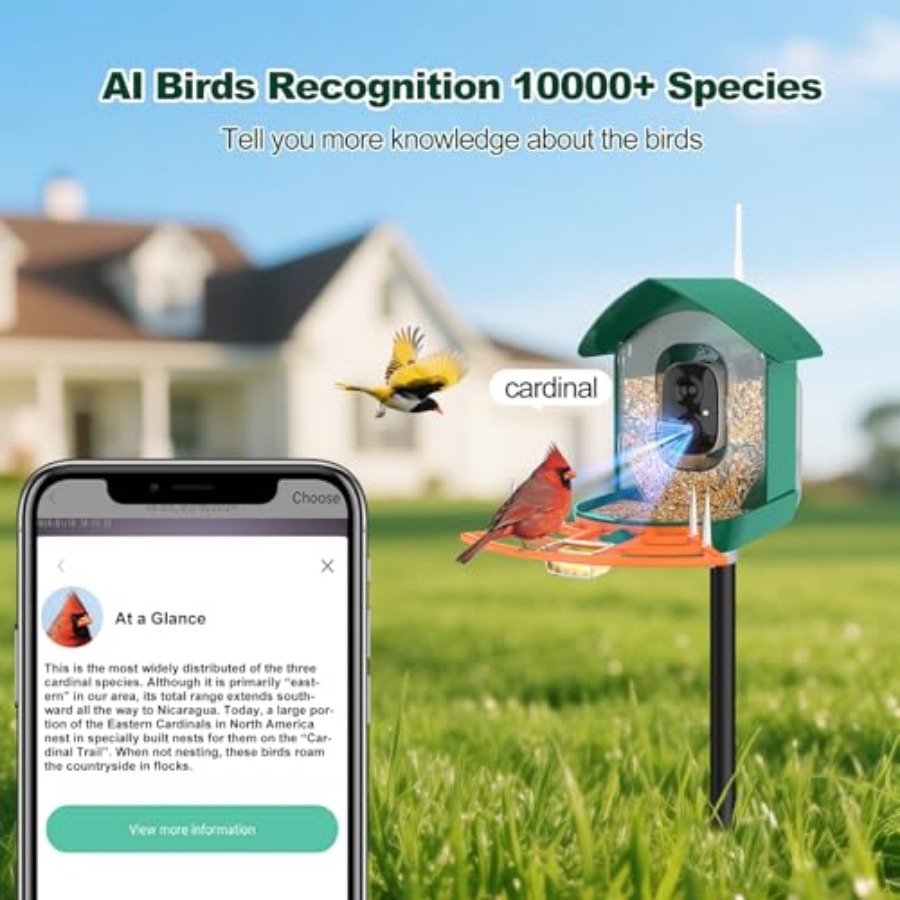 Bird Feeder with Camera, WiFi  - مراجعة Smart Bird Feeder Camera وسعره