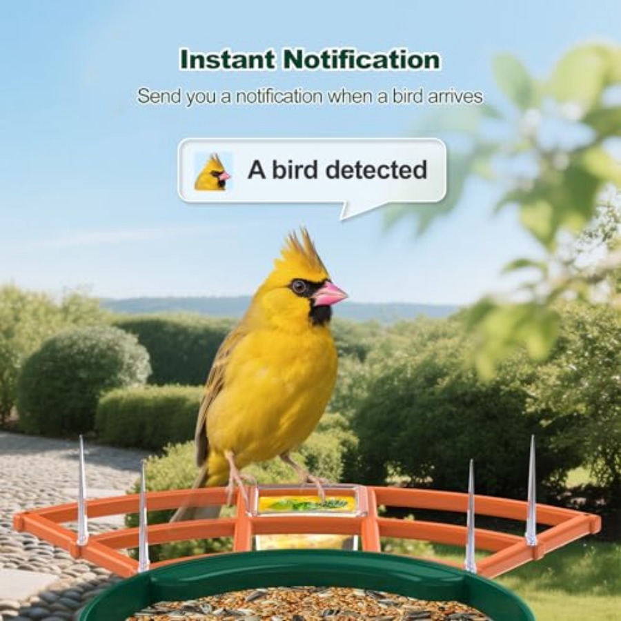 Bird Feeder with Camera, WiFi  - مراجعة Smart Bird Feeder Camera وسعره
