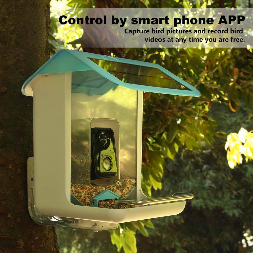 Outdoor Wildlife Wifi Camera C - مراجعة Smart Bird Feeder Camera وسعره