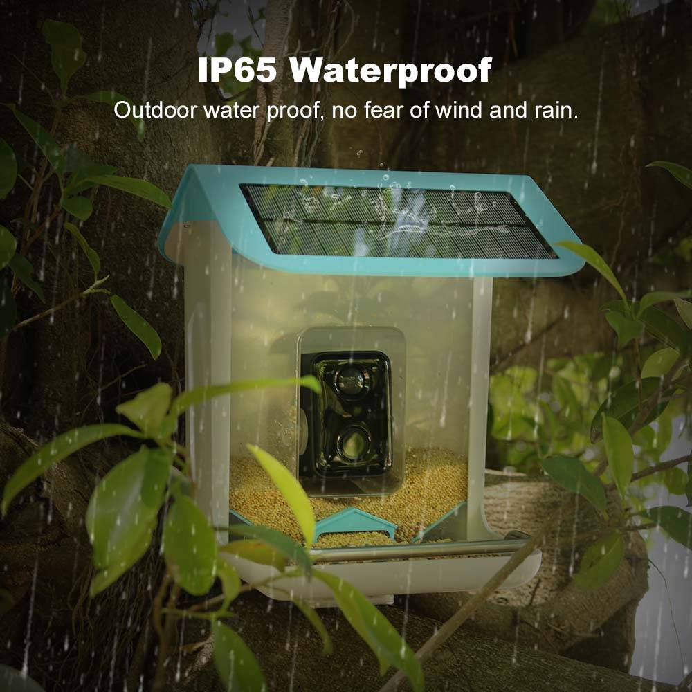 Outdoor Wildlife Wifi Camera C - مراجعة Smart Bird Feeder Camera وسعره