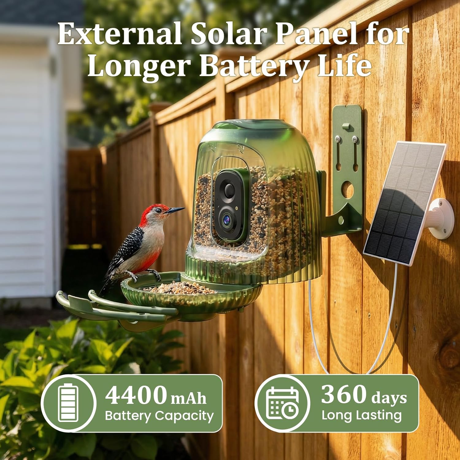 Smart Bird Feeder 4MP Camera A - مراجعة Smart Bird Feeder Camera وسعره
