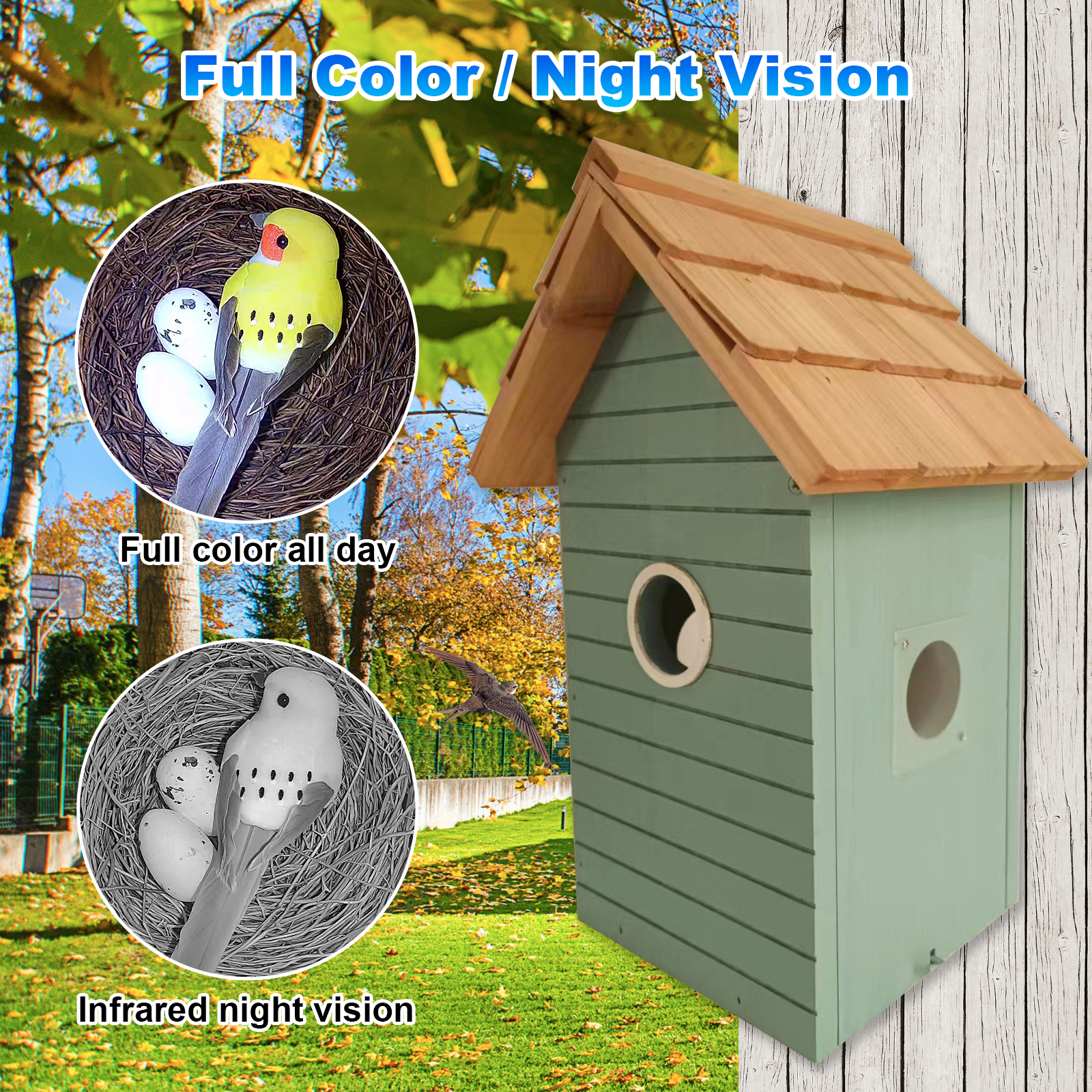 Factory Price 3MP Smart Bird F - مراجعة Smart Bird Feeder Camera وسعره