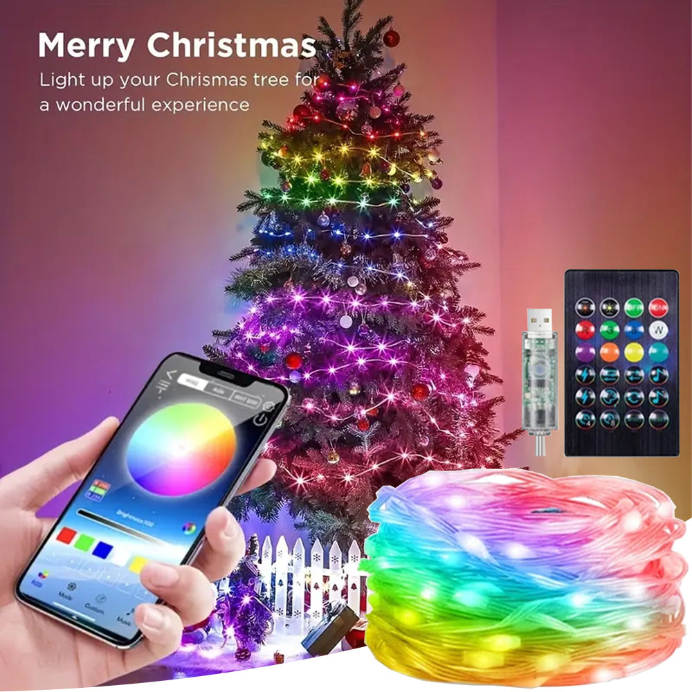 RGBIC Smart String Lights USB  - مراجعة Smart Garden Festoon Lights وسعره