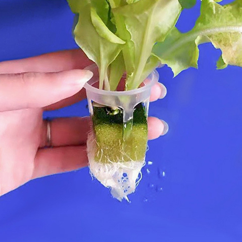200pcs Hydroponic Basket Veget - مراجعة Smart Garden Plastic Cups وسعره