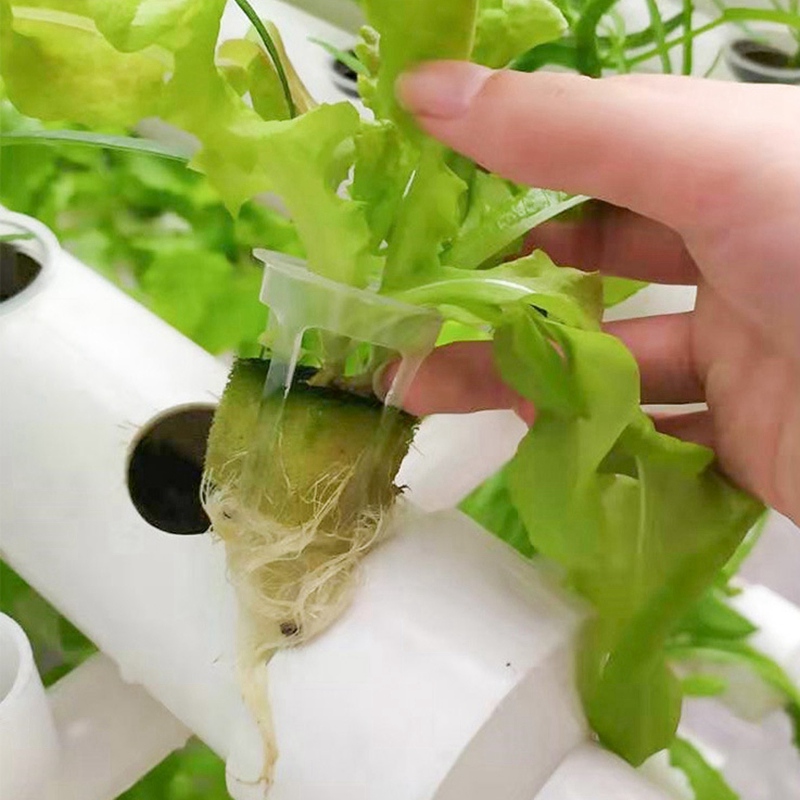 200pcs Hydroponic Basket Veget - مراجعة Smart Garden Plastic Cups وسعره