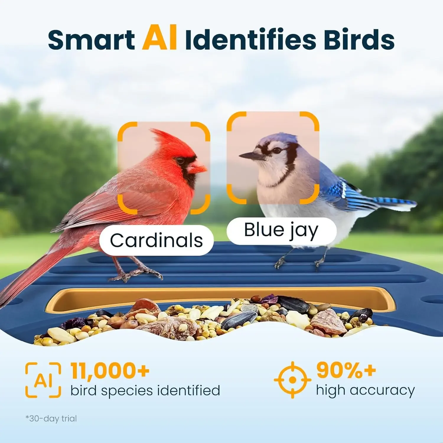 Smart Bird Feeder Camera Solar - مراجعة Smart Bird Feeder Camera وسعره