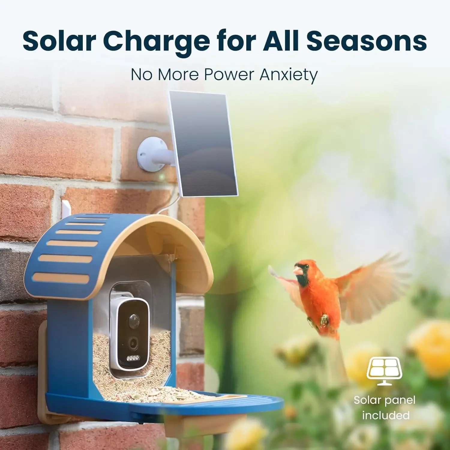 Smart Bird Feeder Camera Solar - مراجعة Smart Bird Feeder Camera وسعره