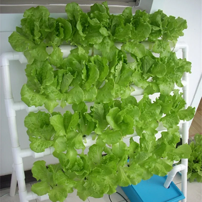 Hydroponic Grow Kit Hydroponic - مراجعة Smart Garden Plastic Cups وسعره
