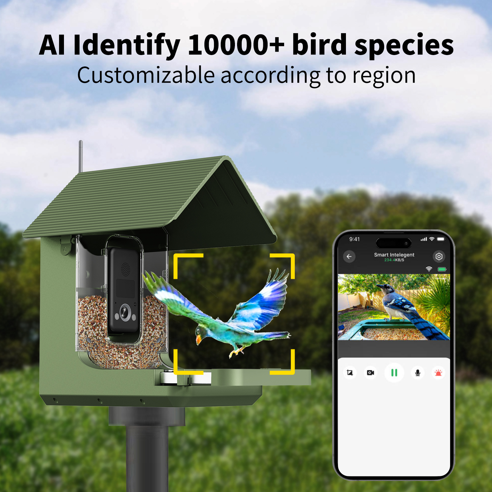Willfine 0.4S Trigger Speed AI - مراجعة Smart Bird Feeder Camera وسعره