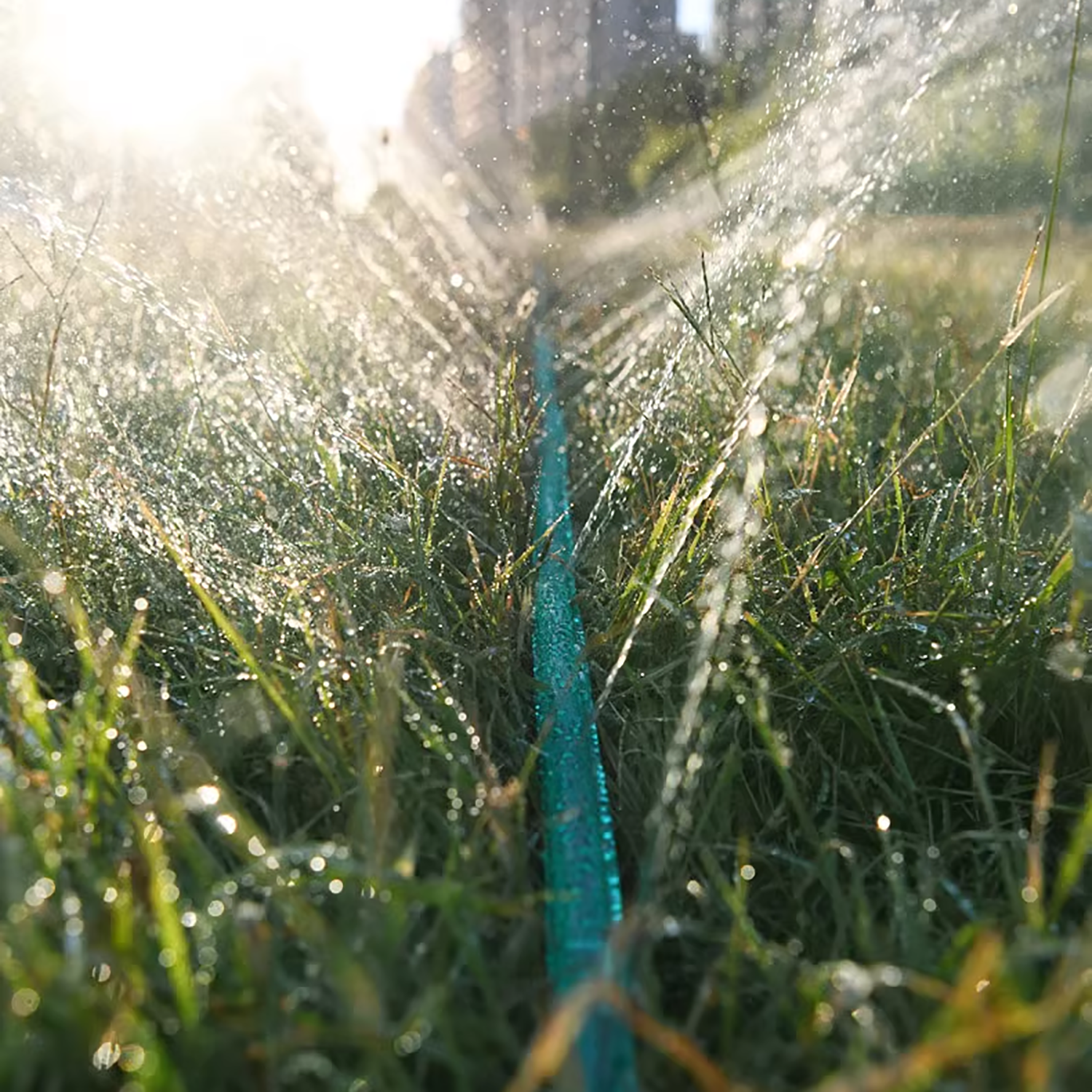3/4.5/7.5/10/15M Porous Soaker - مراجعة Smart Gardening وسعره