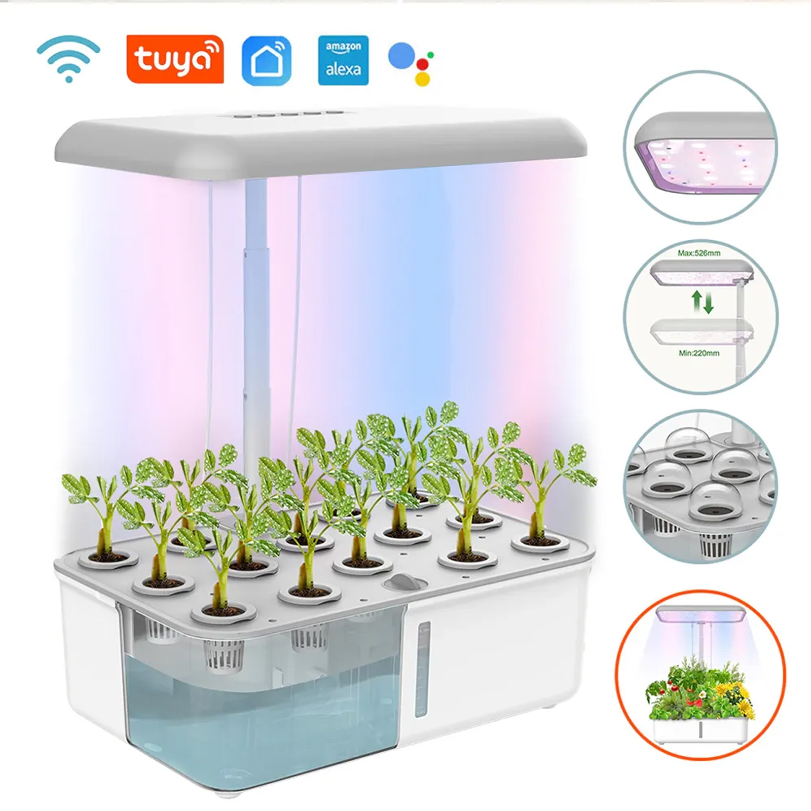 Tuya WiFi Plant Hydroponics Sy - مراجعة Smart Garden Plastic Cups وسعره