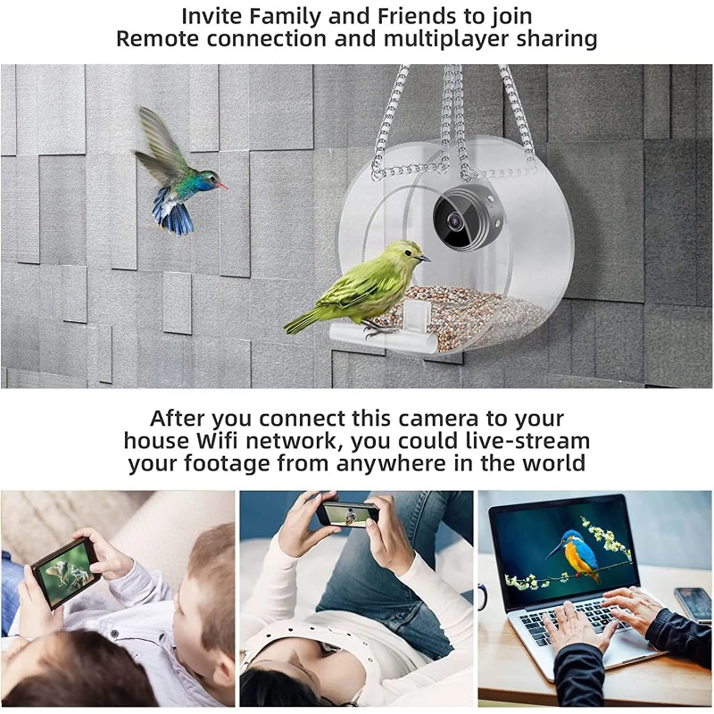 Smart 1080P Mini Bird Feeder w - مراجعة Smart Bird Feeder Camera وسعره
