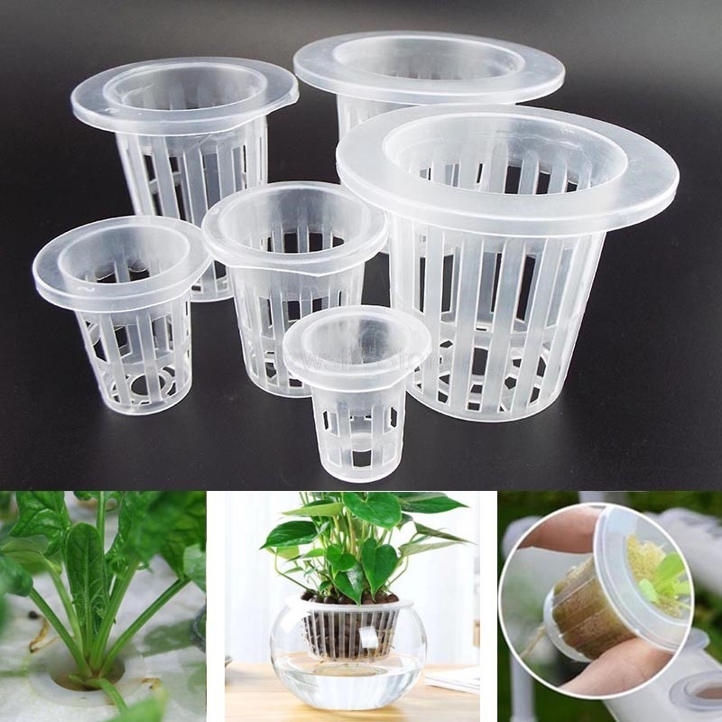 10pcs Plant Grow Net Nursery P - مراجعة Smart Garden Plastic Cups وسعره
