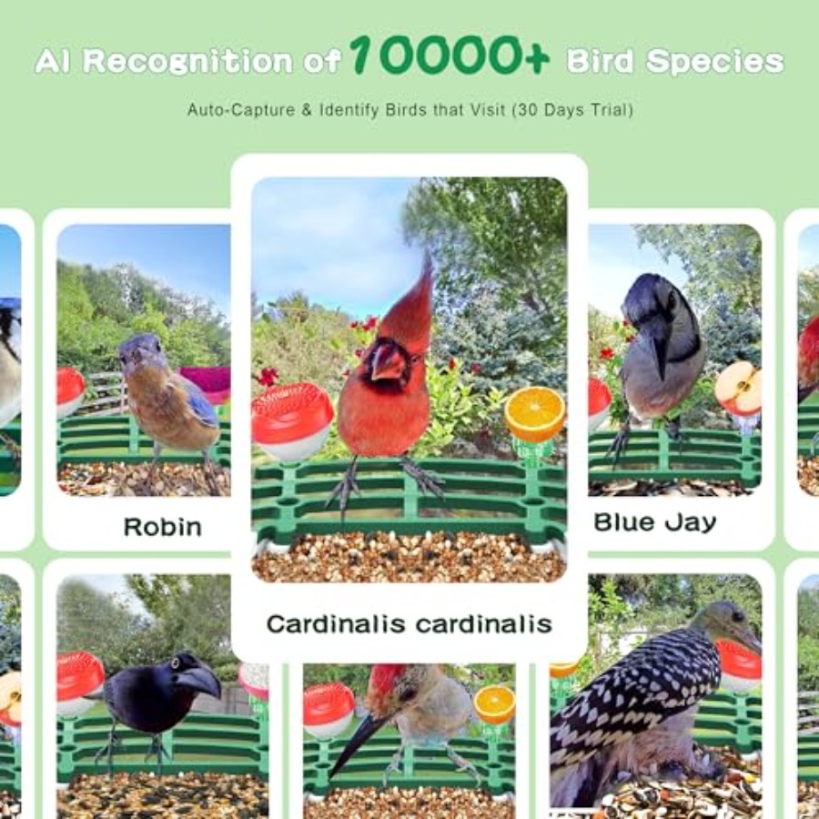 Smart AI Bird Feeder with Sola - مراجعة Smart Bird Feeder Camera وسعره