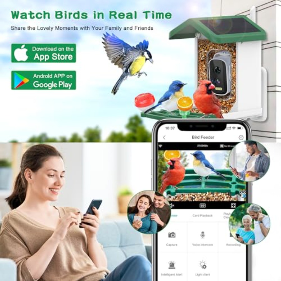 Smart AI Bird Feeder with Sola - مراجعة Smart Bird Feeder Camera وسعره