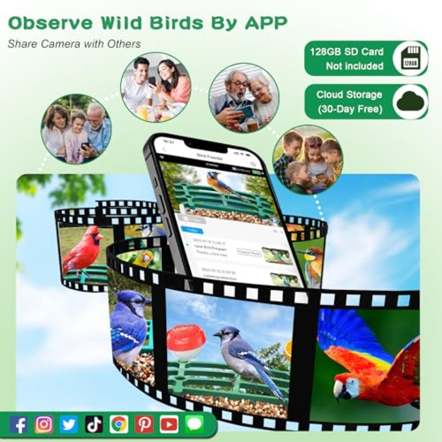 Smart AI Bird Feeder with Sola - مراجعة Smart Bird Feeder Camera وسعره