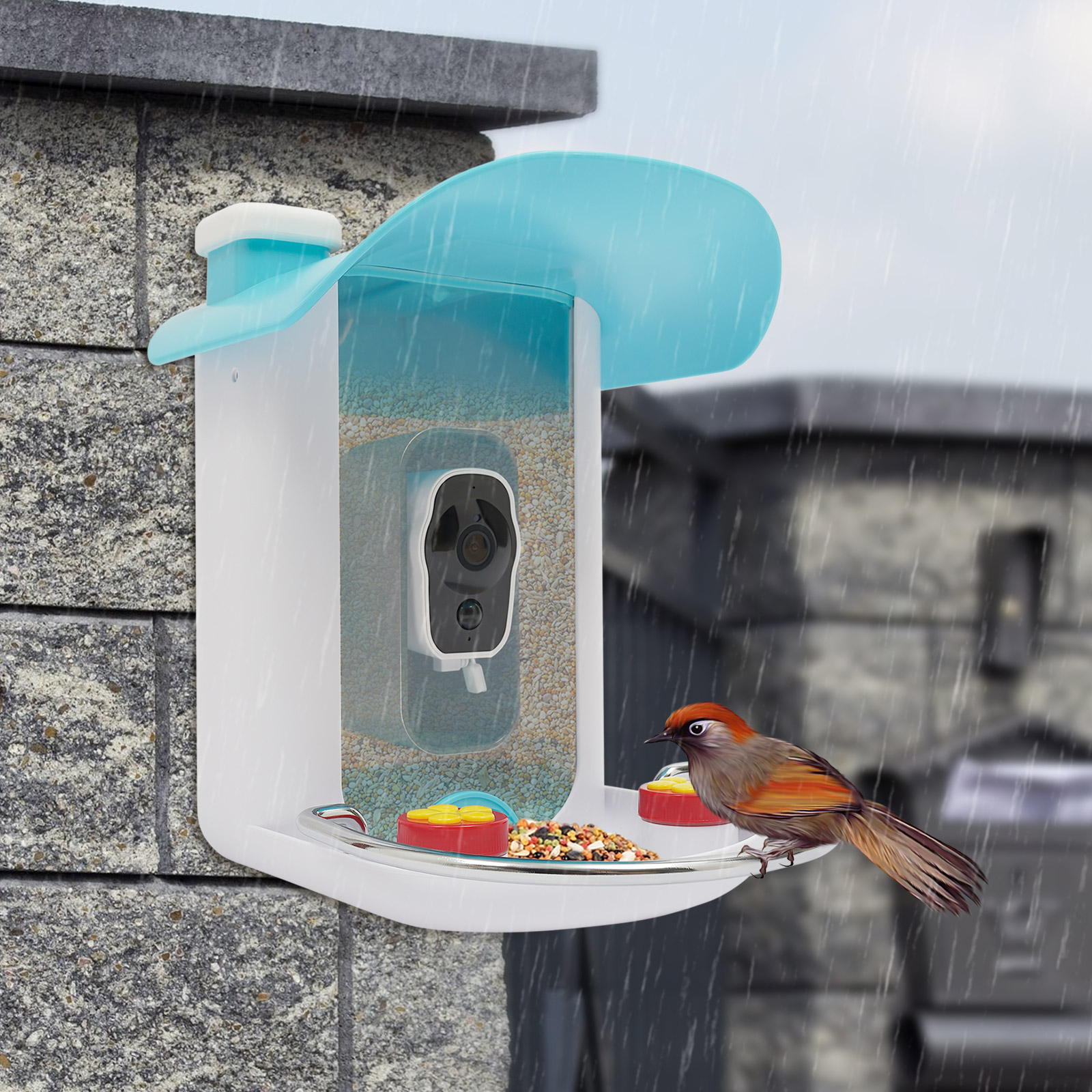 2.5L Smart Bird Feeder With Ca - مراجعة Smart Bird Feeder Camera وسعره