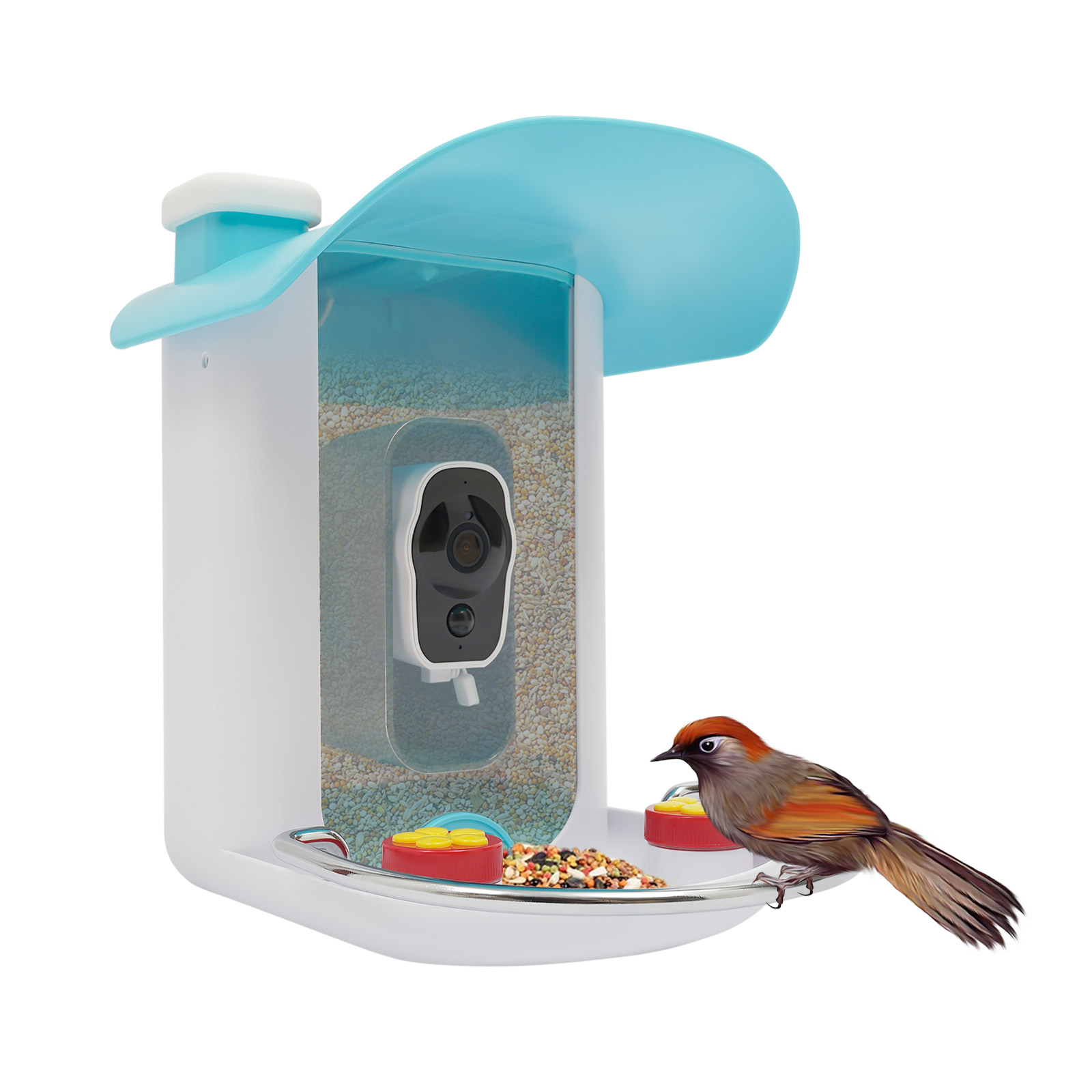 2.5L Smart Bird Feeder With Ca - مراجعة Smart Bird Feeder Camera وسعره