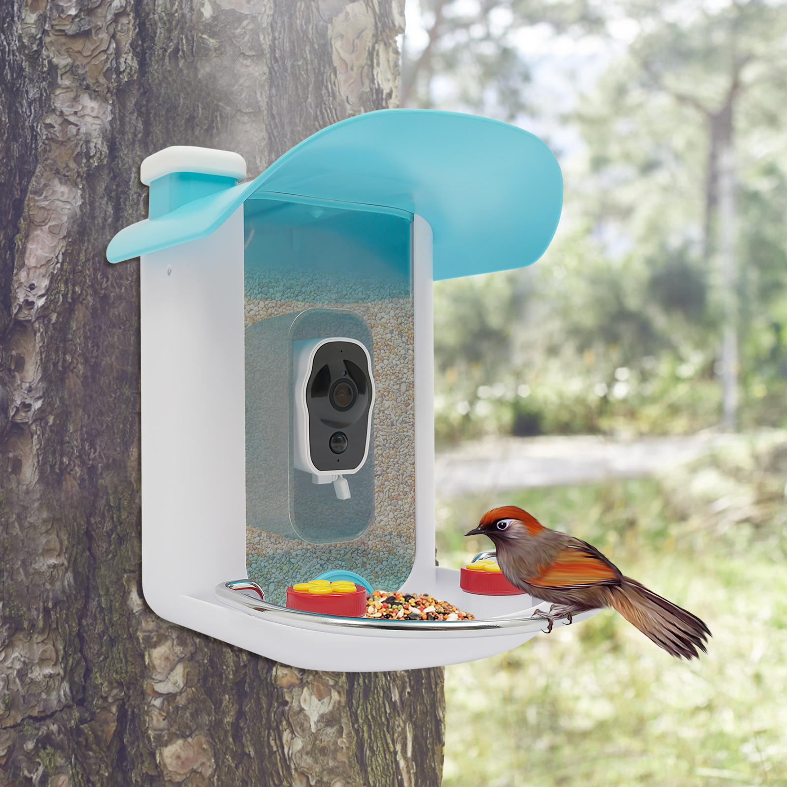 2.5L Smart Bird Feeder With Ca - مراجعة Smart Bird Feeder Camera وسعره