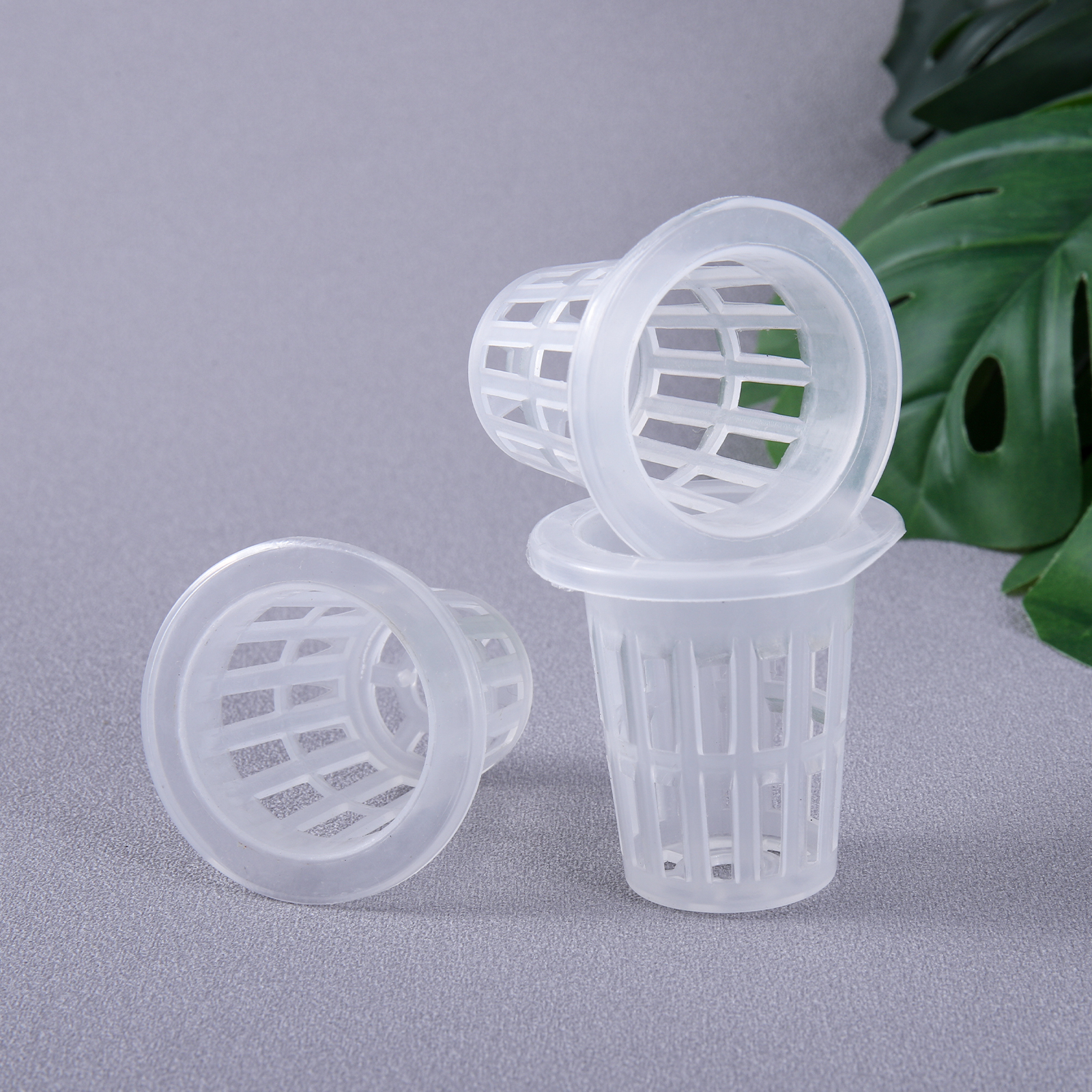 20/50Pcs Hydroponic Planting B - مراجعة Smart Garden Plastic Cups وسعره