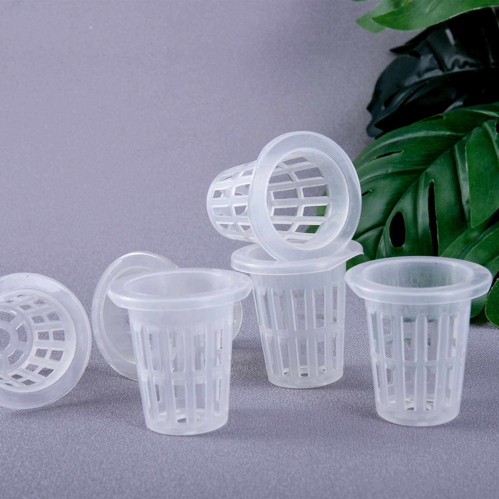 20/50Pcs Hydroponic Planting B - مراجعة Smart Garden Plastic Cups وسعره