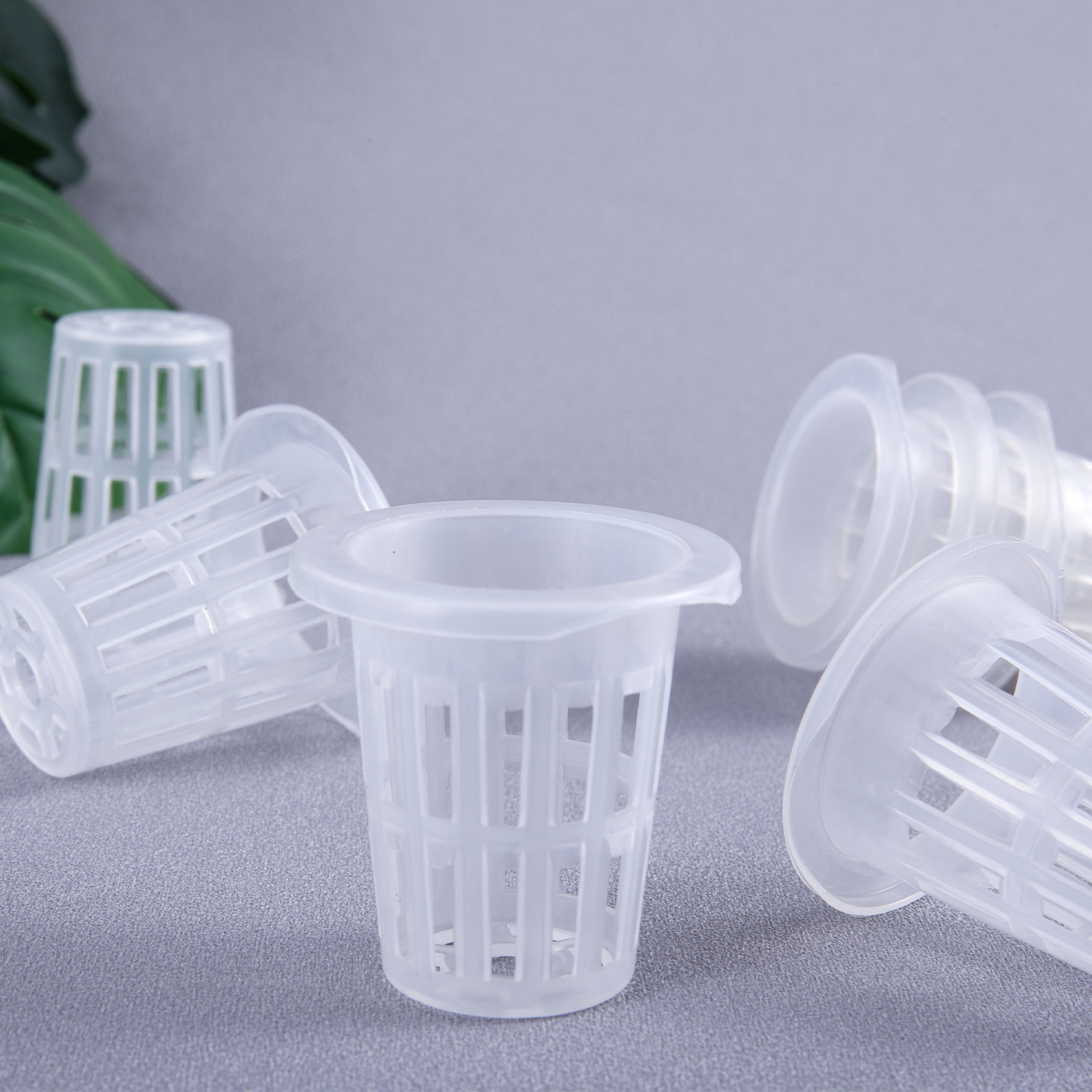 20/50Pcs Hydroponic Planting B - مراجعة Smart Garden Plastic Cups وسعره