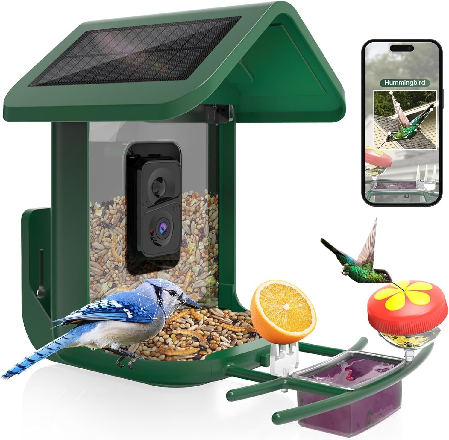 Smart Bird Feeder with Camera  - مراجعة Smart Bird Feeder Camera وسعره