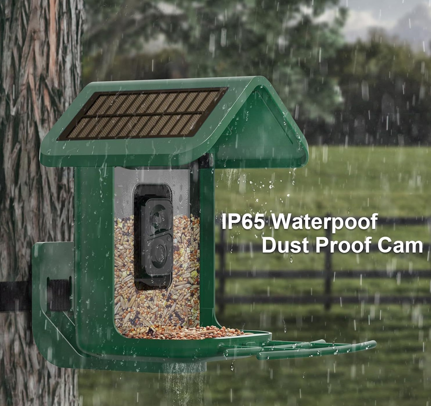 Smart Bird Feeder with Camera  - مراجعة Smart Bird Feeder Camera وسعره