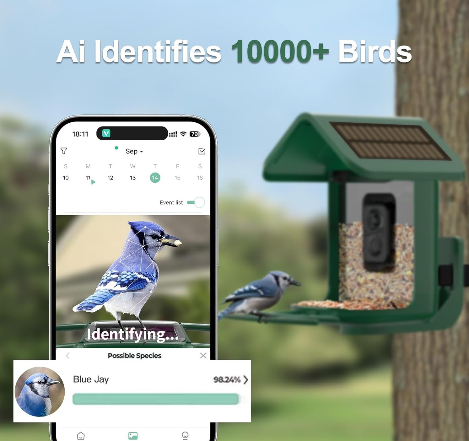 Smart Bird Feeder with Camera  - مراجعة Smart Bird Feeder Camera وسعره