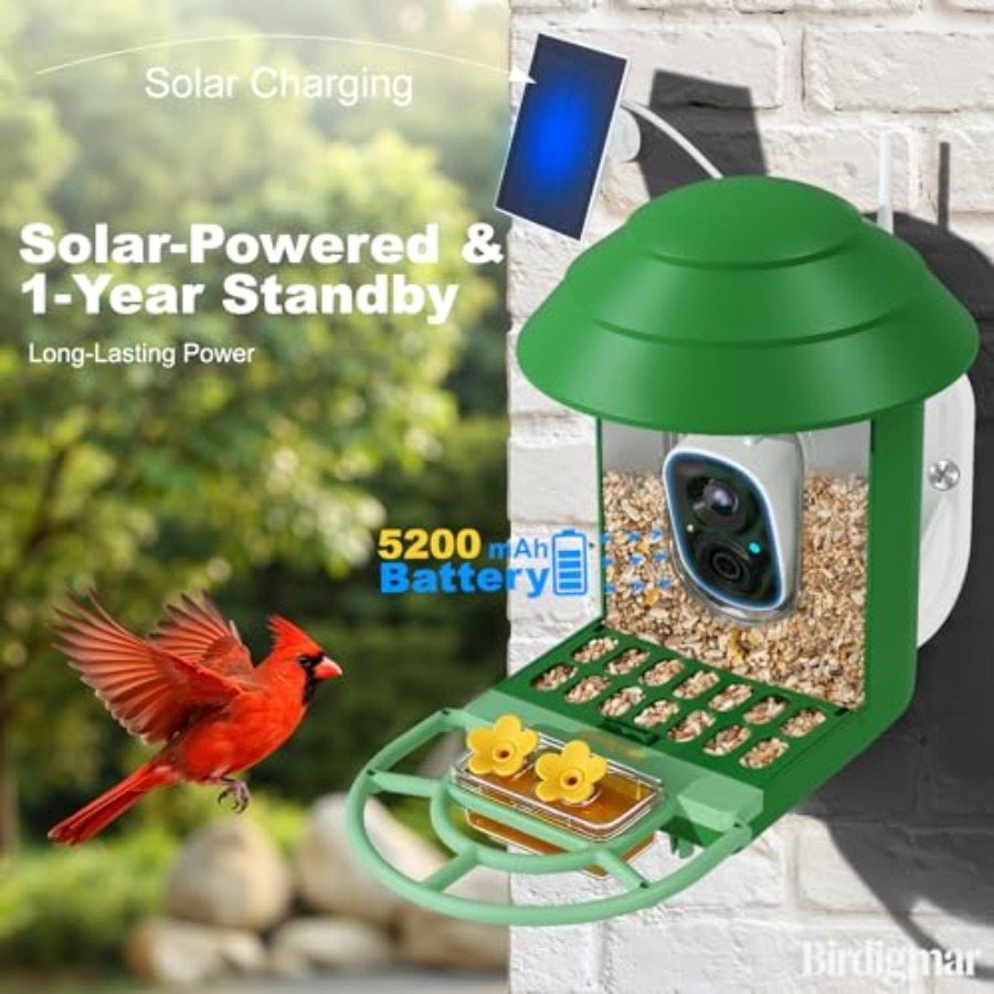 Bird Feeder with Camera for Ou - مراجعة Smart Bird Feeder Camera وسعره
