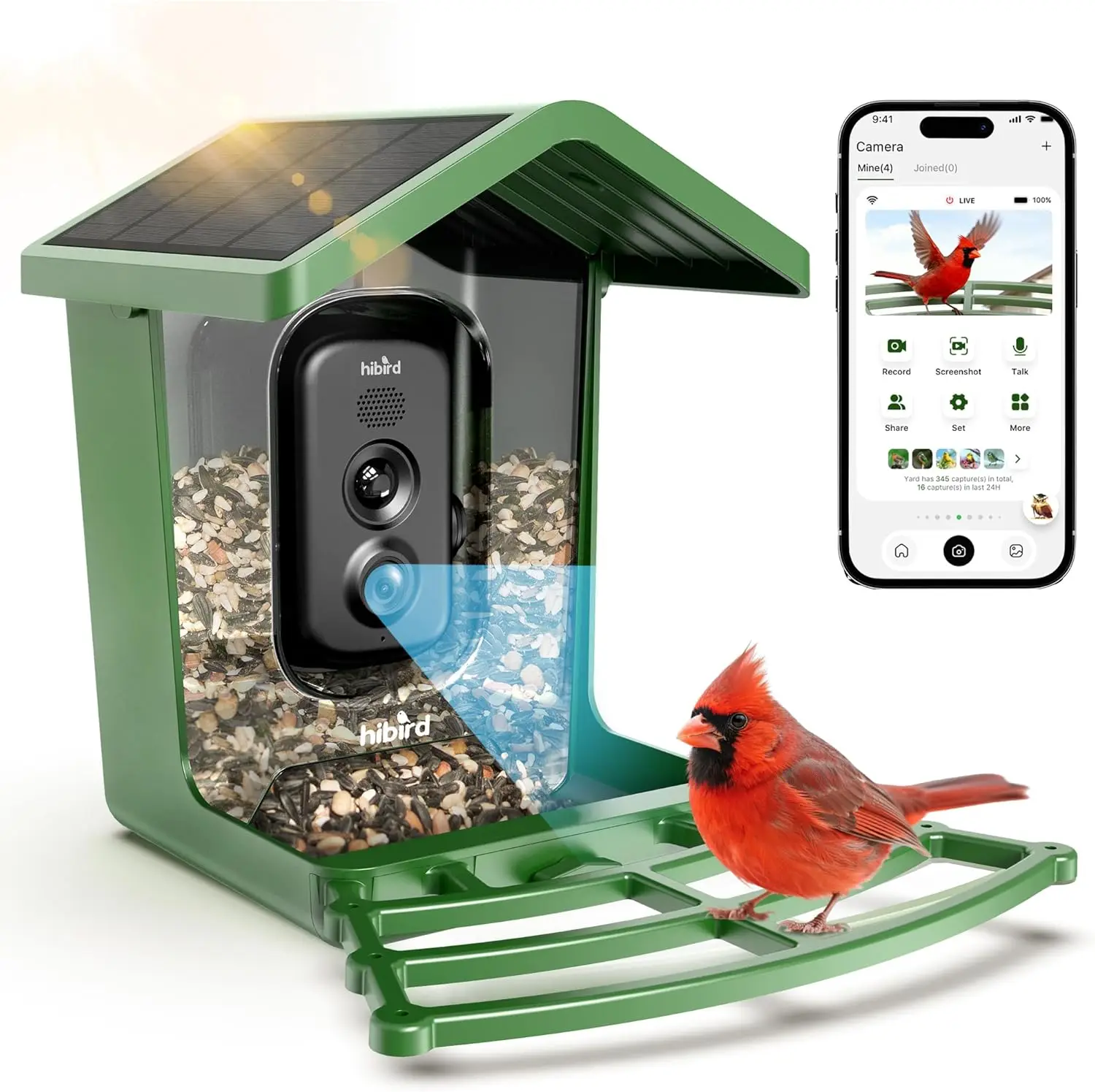 Solar Powered Smart Bird Feede - مراجعة Smart Bird Feeder Camera وسعره
