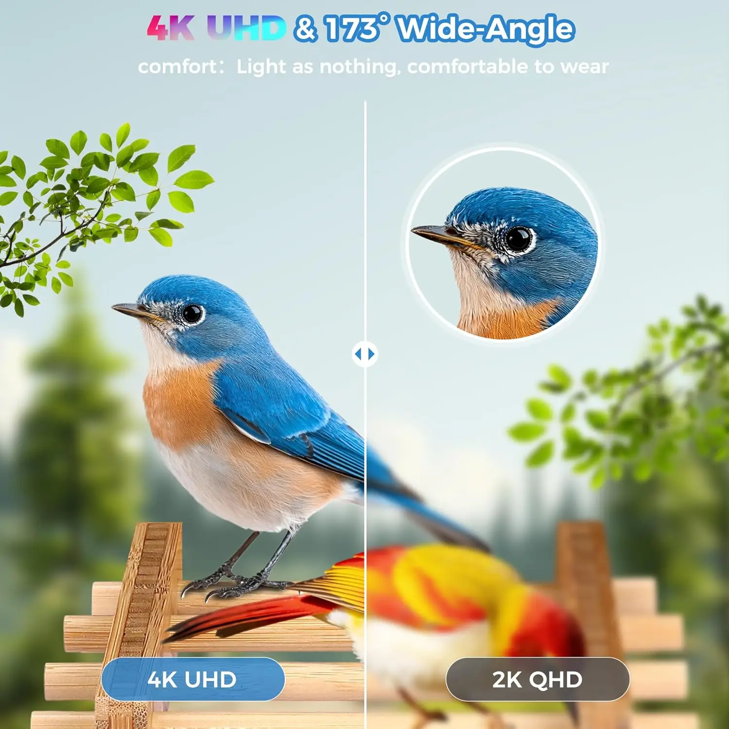 Smart Bird Feeder 4K Camera AI - مراجعة Smart Bird Feeder Camera وسعره