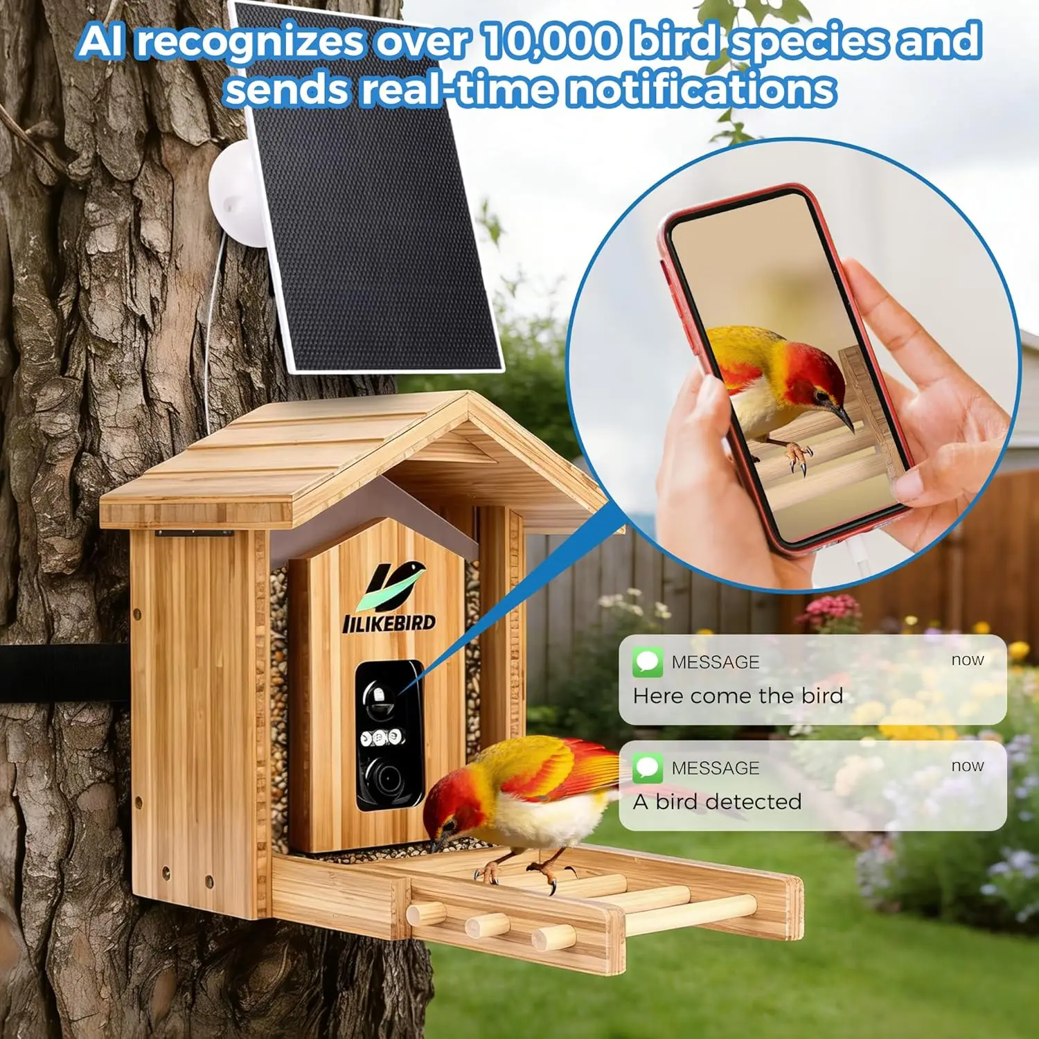 Smart Bird Feeder 4K Camera AI - مراجعة Smart Bird Feeder Camera وسعره