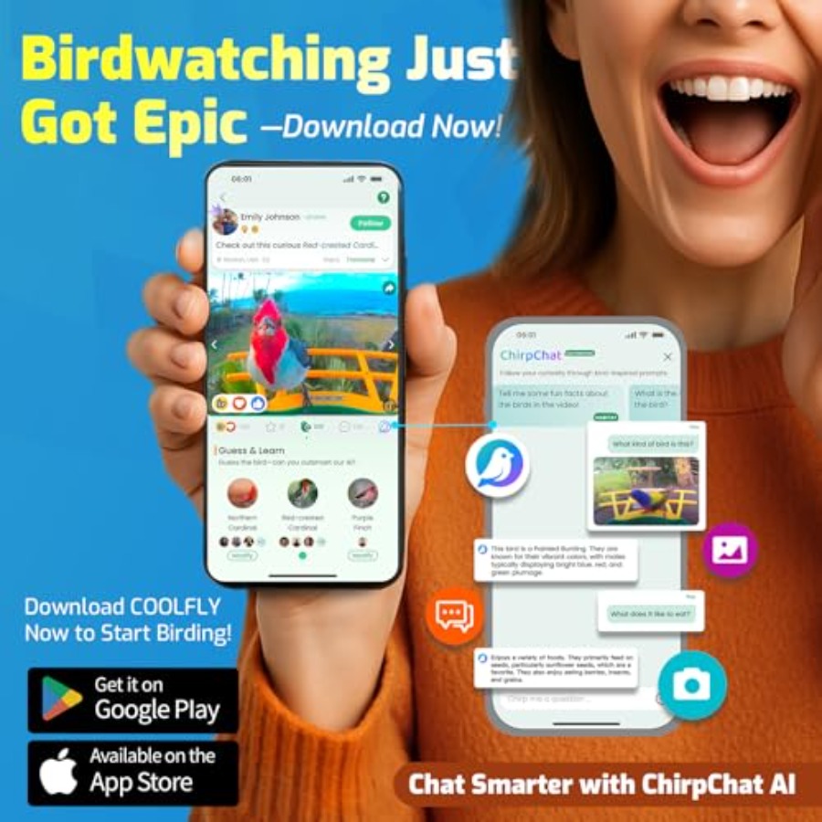 Outdoor smart bird feeder with - مراجعة Smart Bird Feeder Camera وسعره