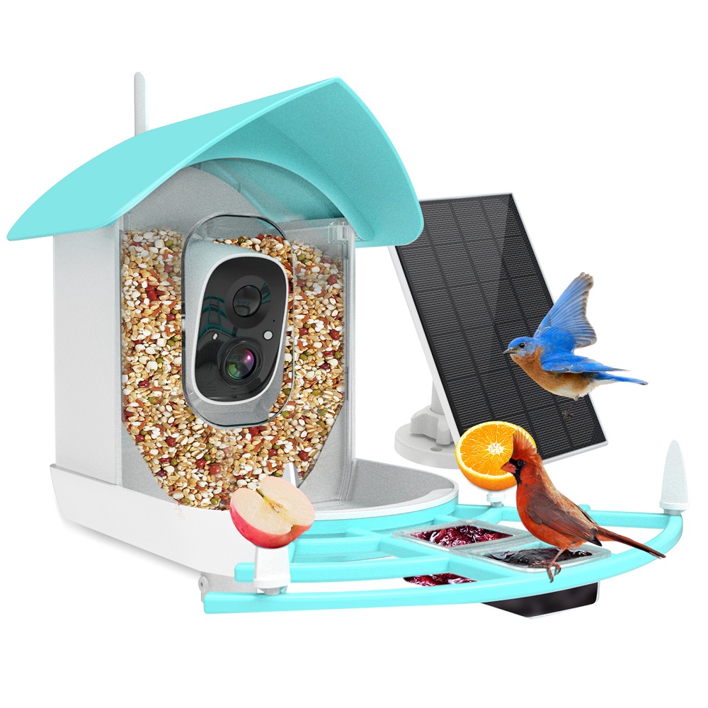 Wireless Automatic Pet Feeder  - مراجعة Smart Bird Feeder Camera وسعره