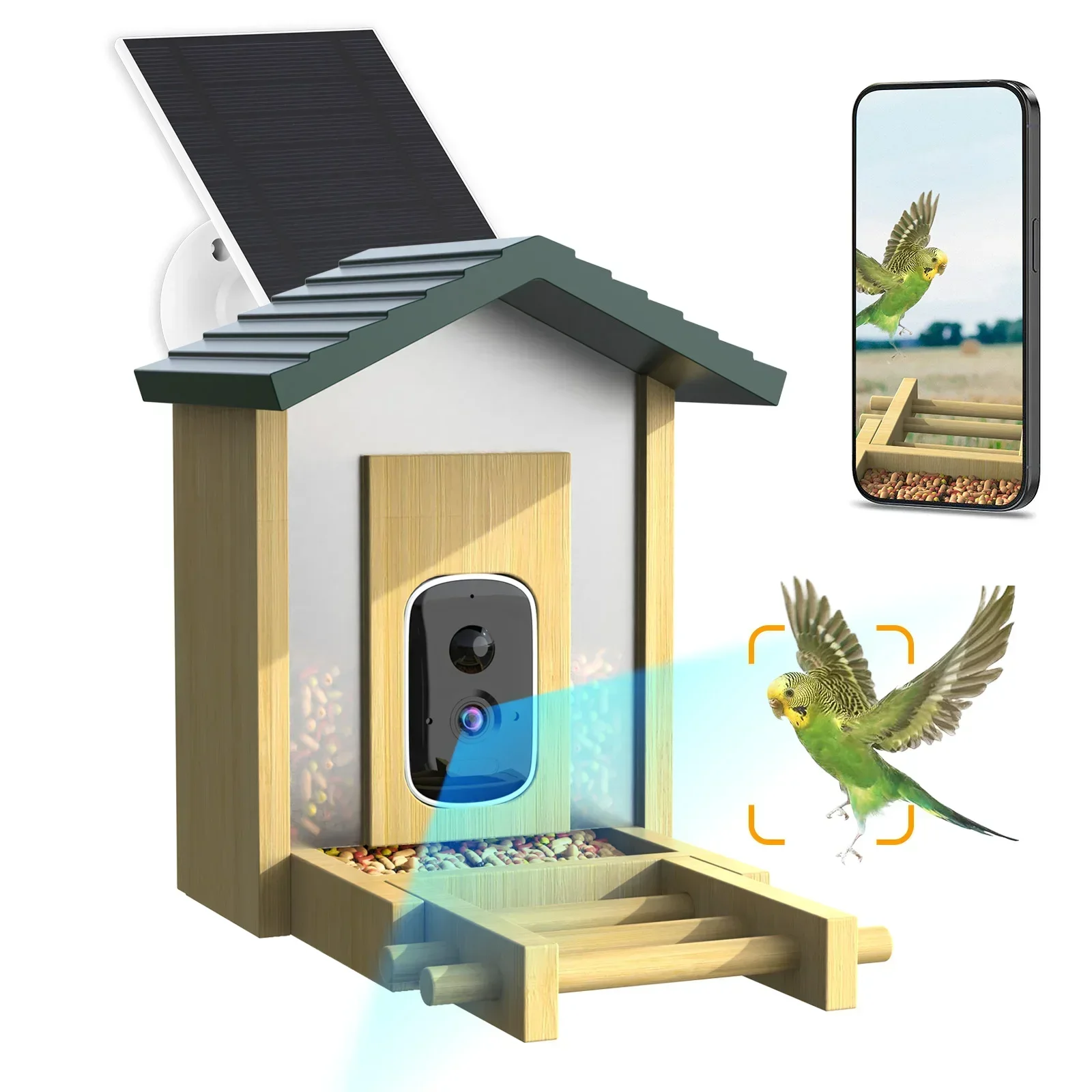 In stock Bamboo with Solar Pow - مراجعة Smart Bird Feeder Camera وسعره