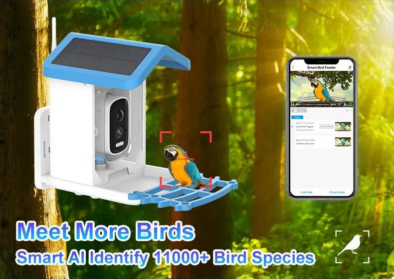 -Smart Bird Feeder with Camera - مراجعة Smart Bird Feeder Camera وسعره