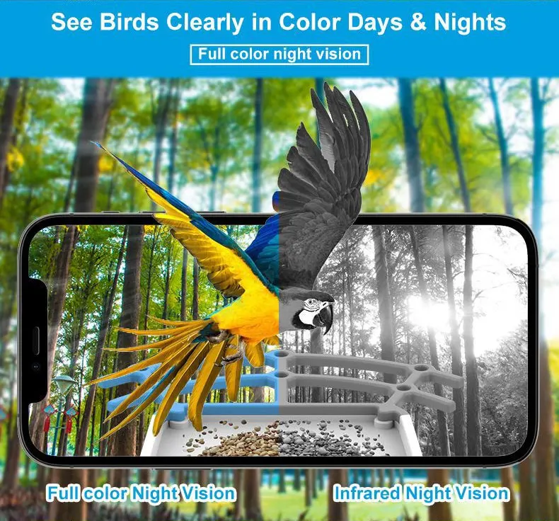 -Smart Bird Feeder with Camera - مراجعة Smart Bird Feeder Camera وسعره