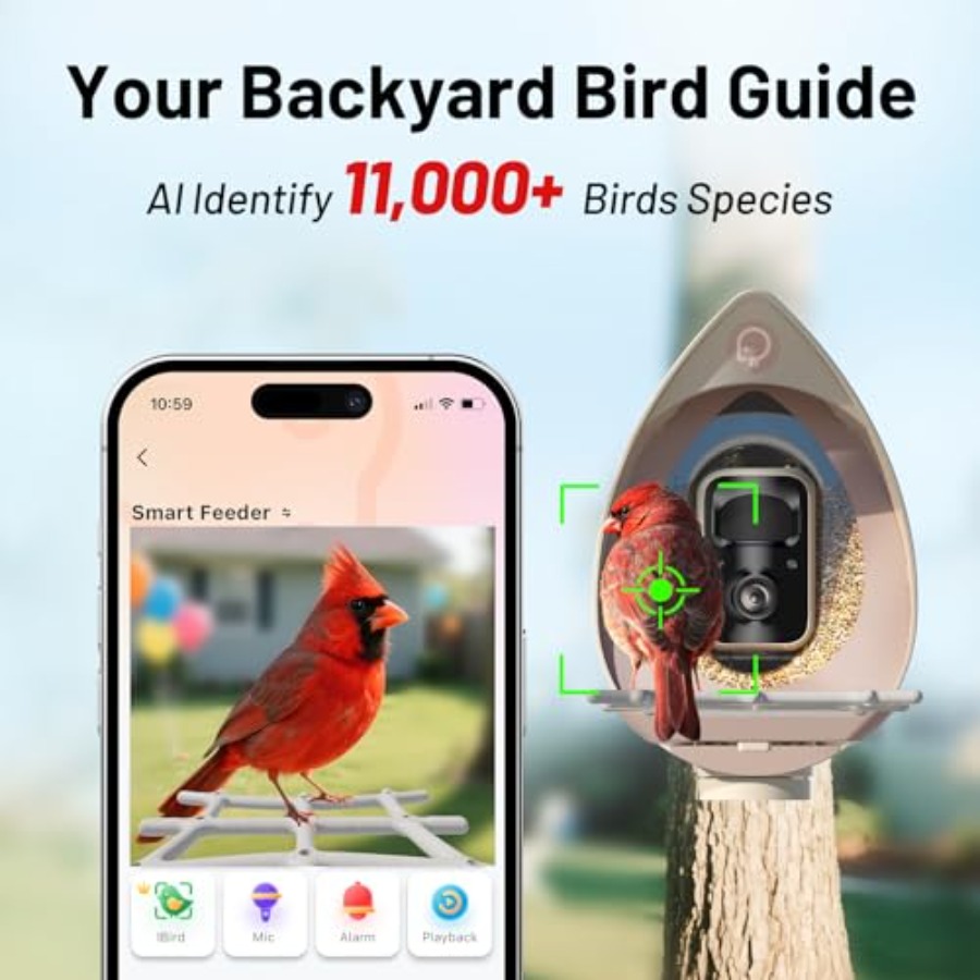 Smart Bird Feeder with Camera  - مراجعة Smart Bird Feeder Camera وسعره