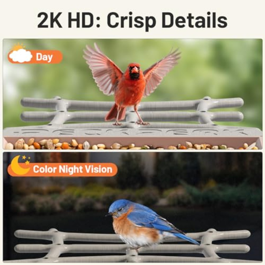 Smart Bird Feeder with Camera  - مراجعة Smart Bird Feeder Camera وسعره