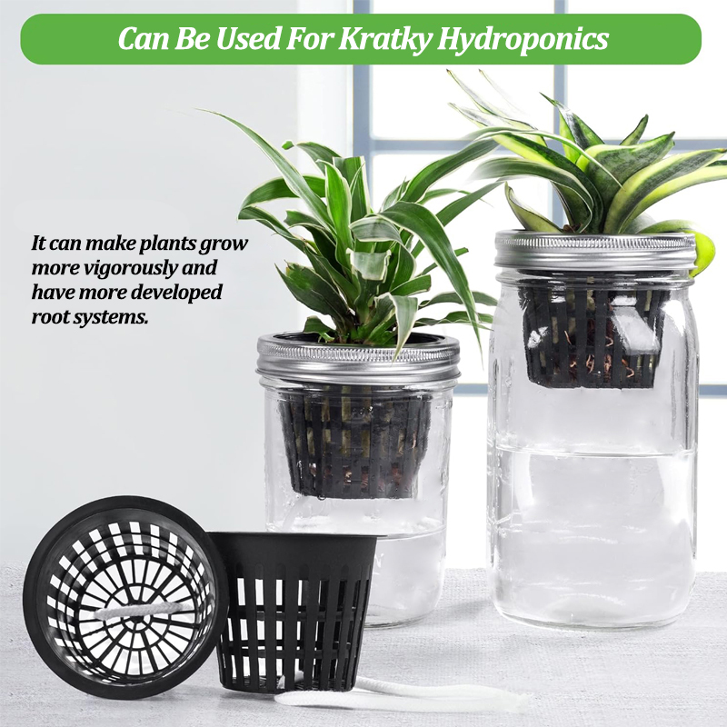 20Pcs Garden Planting Nursery  - مراجعة Smart Garden Plastic Cups وسعره