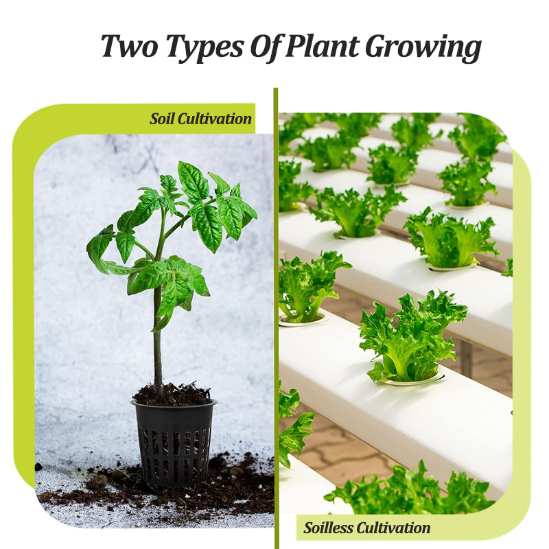 20Pcs Garden Planting Nursery  - مراجعة Smart Garden Plastic Cups وسعره