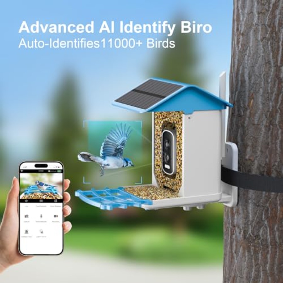 Smart Bird Feeder with Camera, - مراجعة Smart Bird Feeder Camera وسعره
