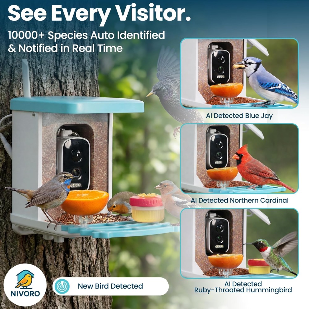 AI Smart Bird Feeder with Came - مراجعة Smart Bird Feeder Camera وسعره
