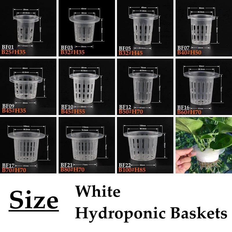 10Pcs White Hydroponic Soilles - مراجعة Smart Garden Plastic Cups وسعره
