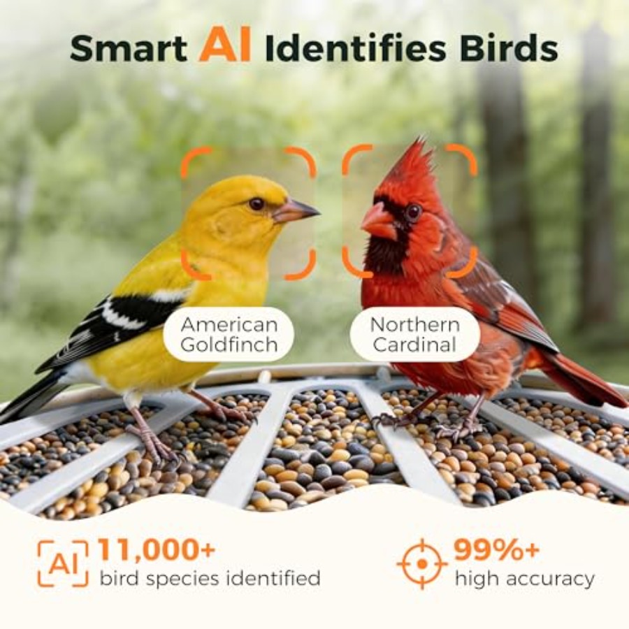 Smart Bird Feeder with Dual Ca - مراجعة Smart Bird Feeder Camera وسعره
