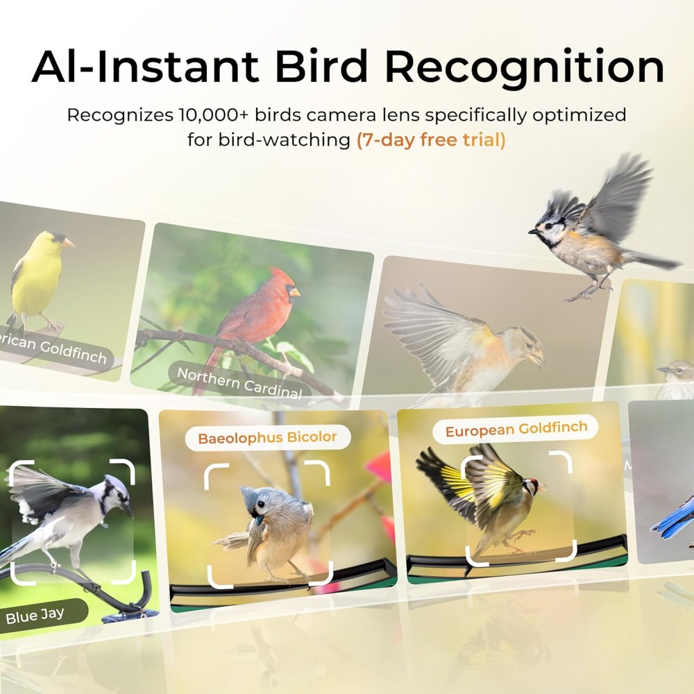 Smart Bird Feeder with Camera, - مراجعة Smart Bird Feeder Camera وسعره